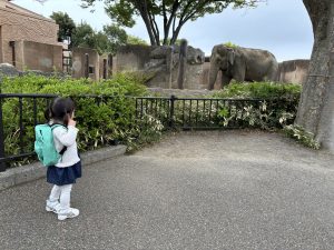 日立市かねみ動物園の象の写真
