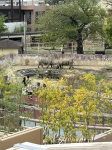 かねみ動物園の際の写真